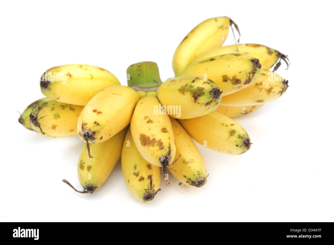 Lady Finger bananas Stock Photo Alamy