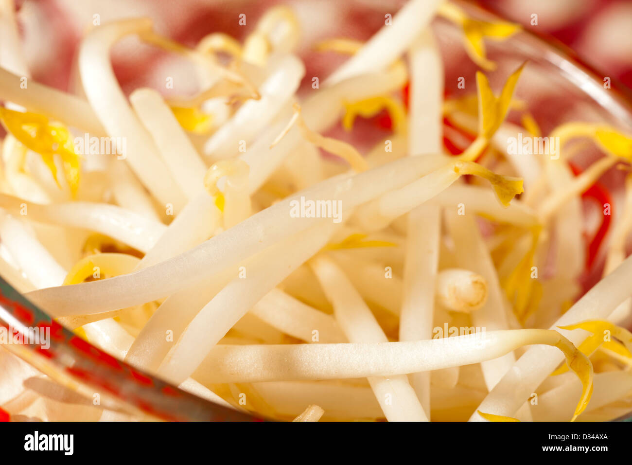 Mung Bean Sprouts Stock Photo