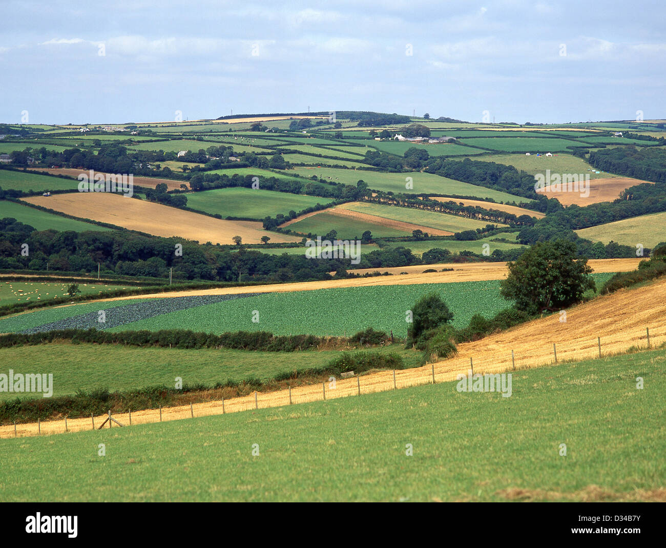 Rolling countyside landscape near Polperro, Cornwall, England, United Kingdom Stock Photo