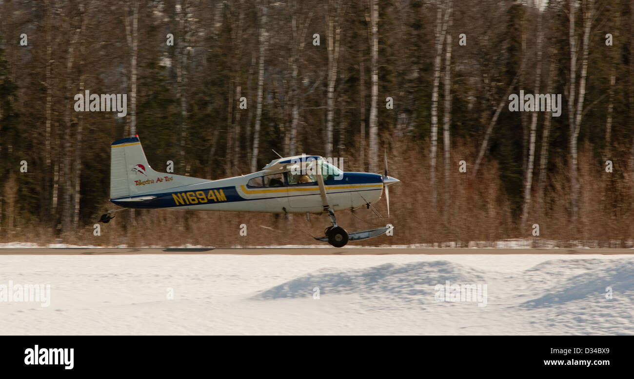 Talkeetna Air Taxi landing the Cessna 185 with skies at the Talkeetna