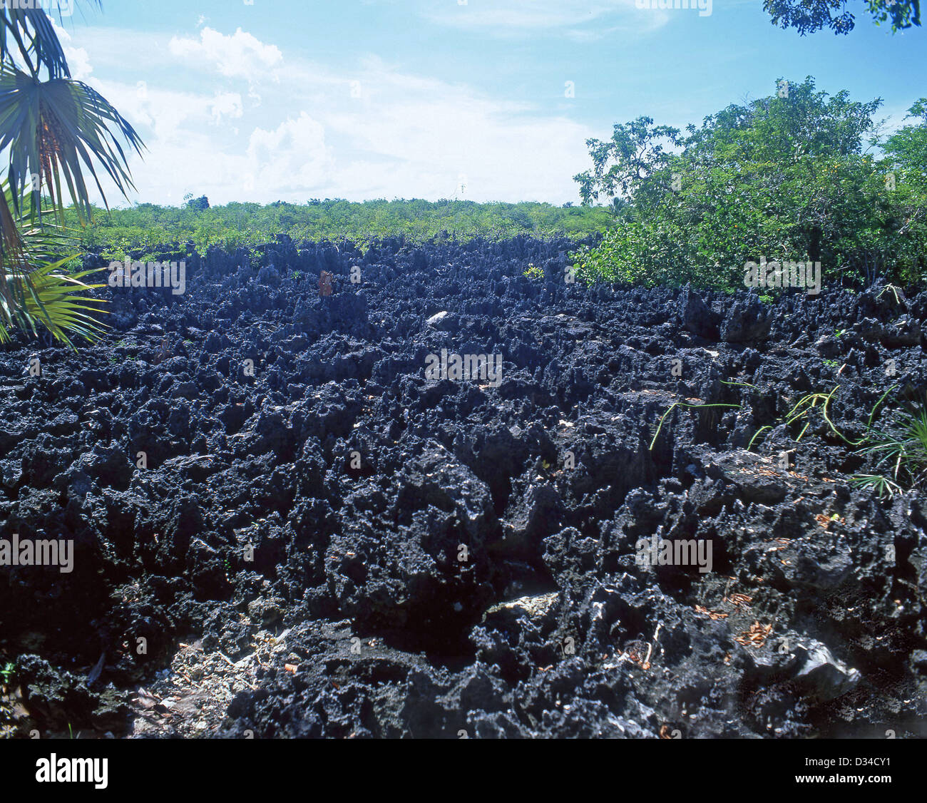 Cooled lava flows at Hell The Devil's Hangout, West Bay, Grand Cayman, Cayman Islands, Caribbean Stock Photo