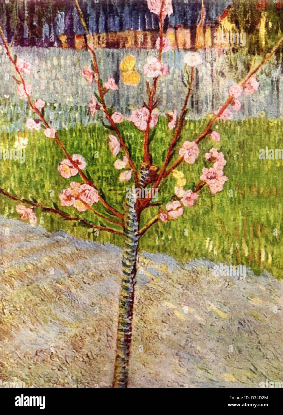 Vincent van Gogh - Almond Blossom - Van Gogh Museum