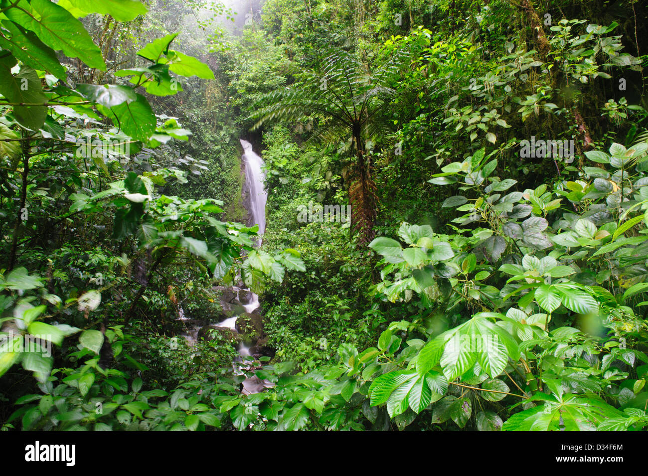 Waterfall in Arenal Hanging Bridges (Volcan Arenal National Park