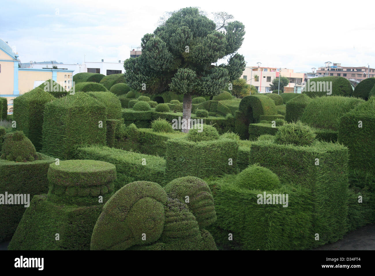 Shaped topiary cedar bushes in a cemetery in Tulcan, Ecuador Stock Photo