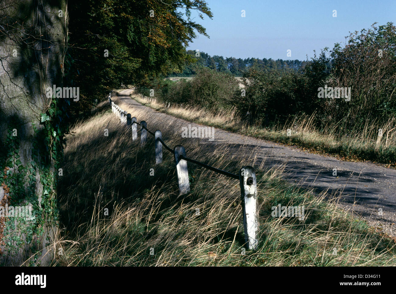 Old farming estate road and railing, Bitham, Lockinge, Wantage, Oxfordshire, England, UK Stock Photo