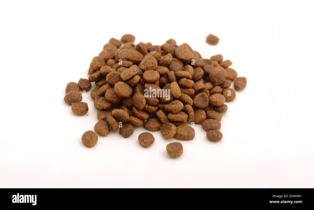 Dry cat or dog food in kibble form on white background Stock Photo