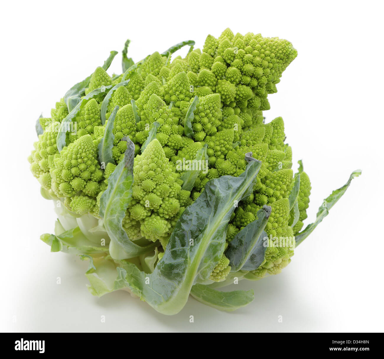 Romanesco cauliflower over a white background, with a light shadow. Known in some places as a romanescu cabbage or broccoli Stock Photo