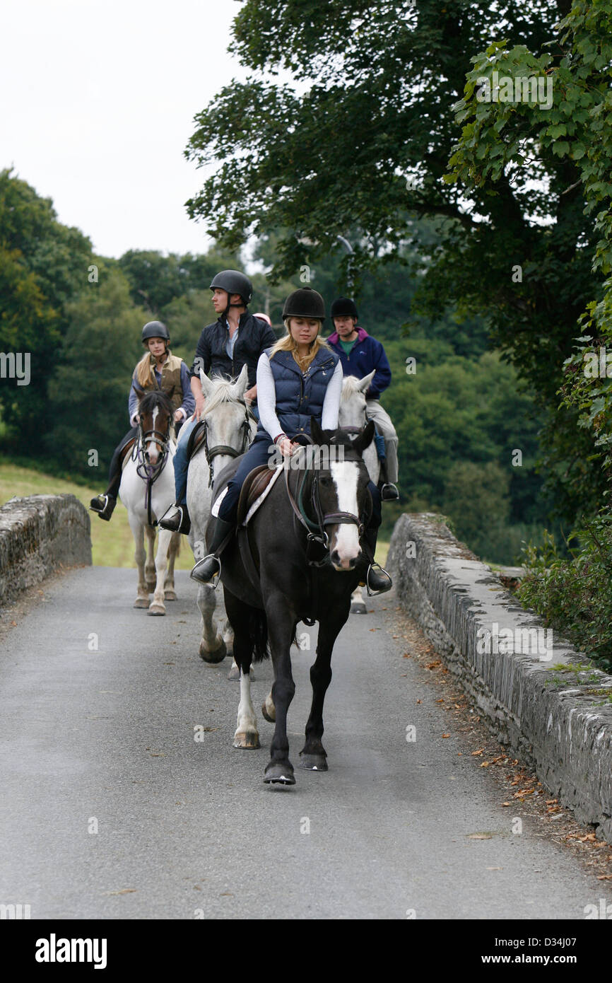 Hacking horse road hi-res stock photography and images - Alamy