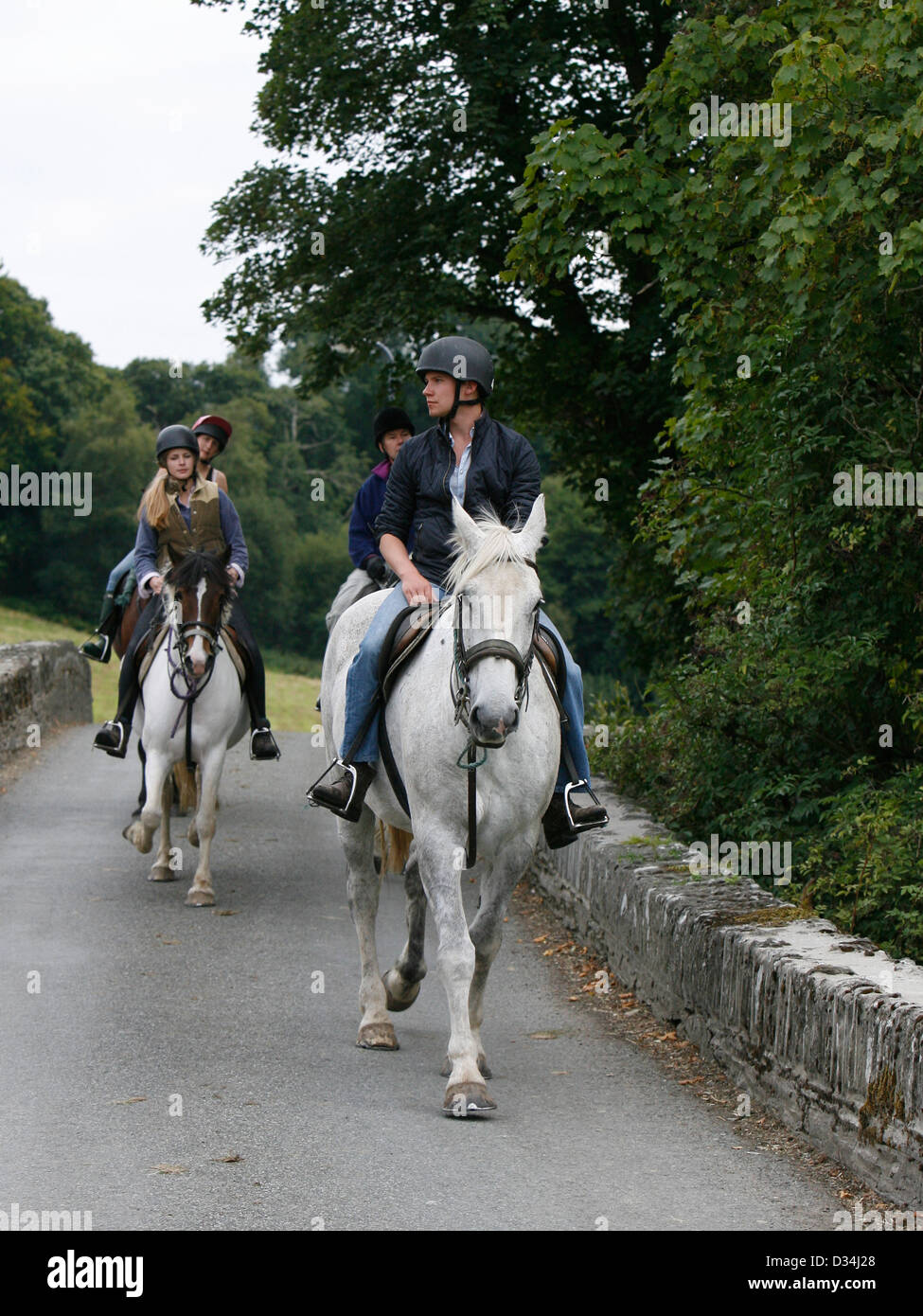 Hacking horse road hi-res stock photography and images - Alamy