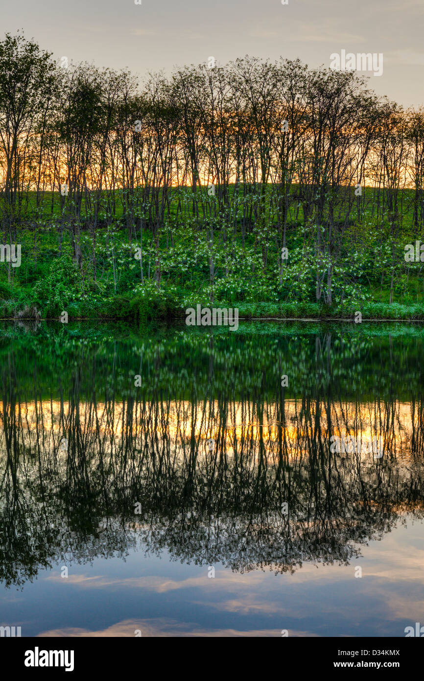 Sunset reflection on lake hi-res stock photography and images - Alamy