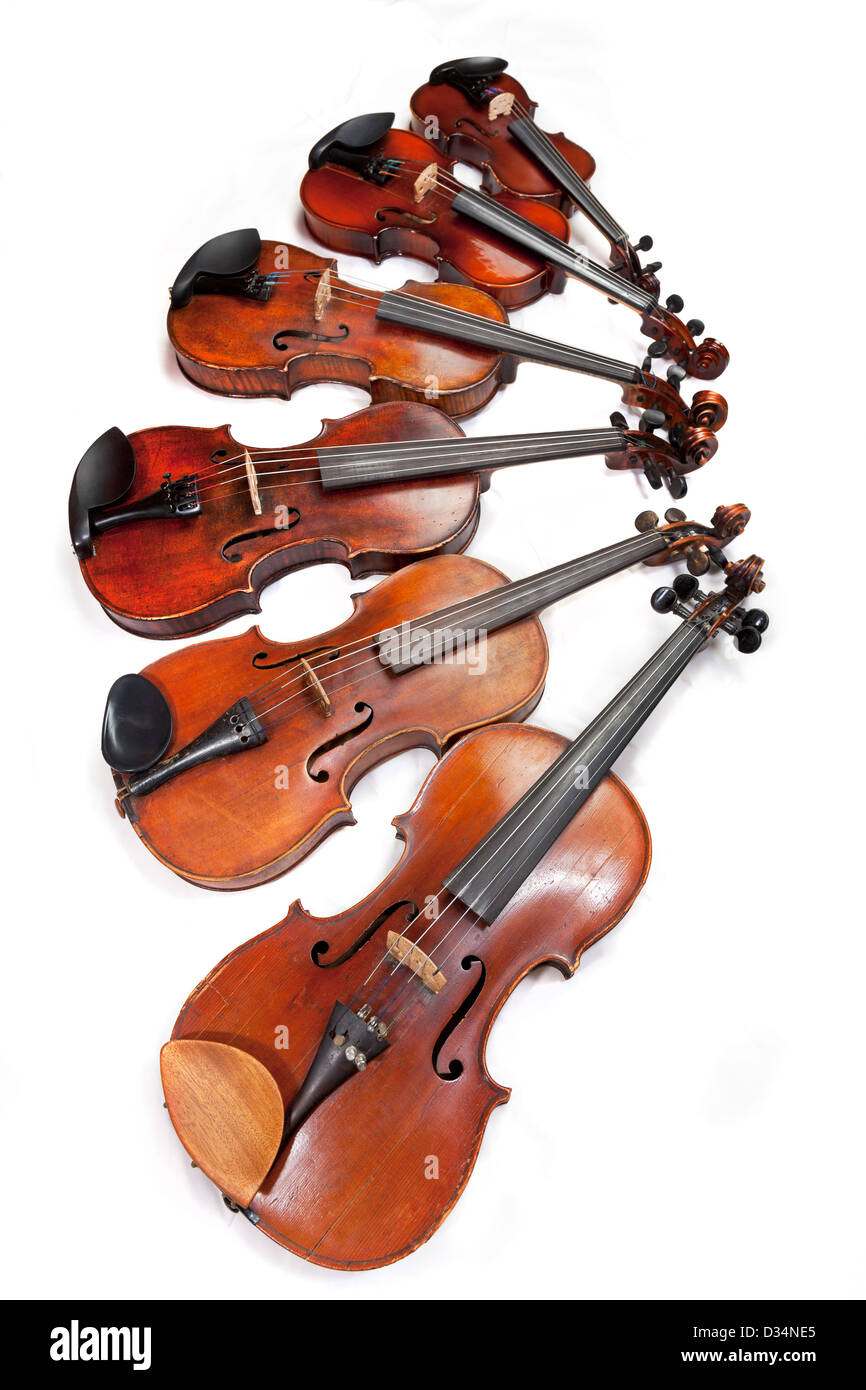 different sized fiddles on white background Stock Photo