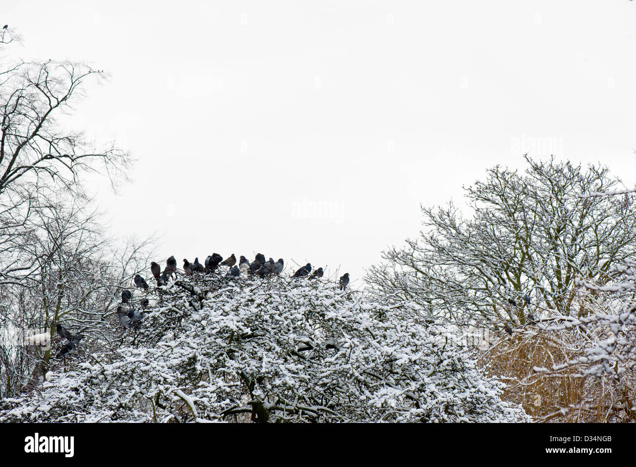 Ravenscourt Park snow winter scenic London UK Stock Photo