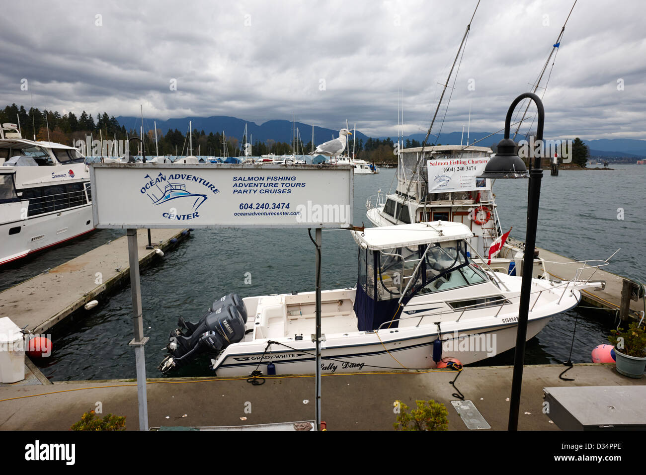 Salmon fishing hires stock photography and images Alamy