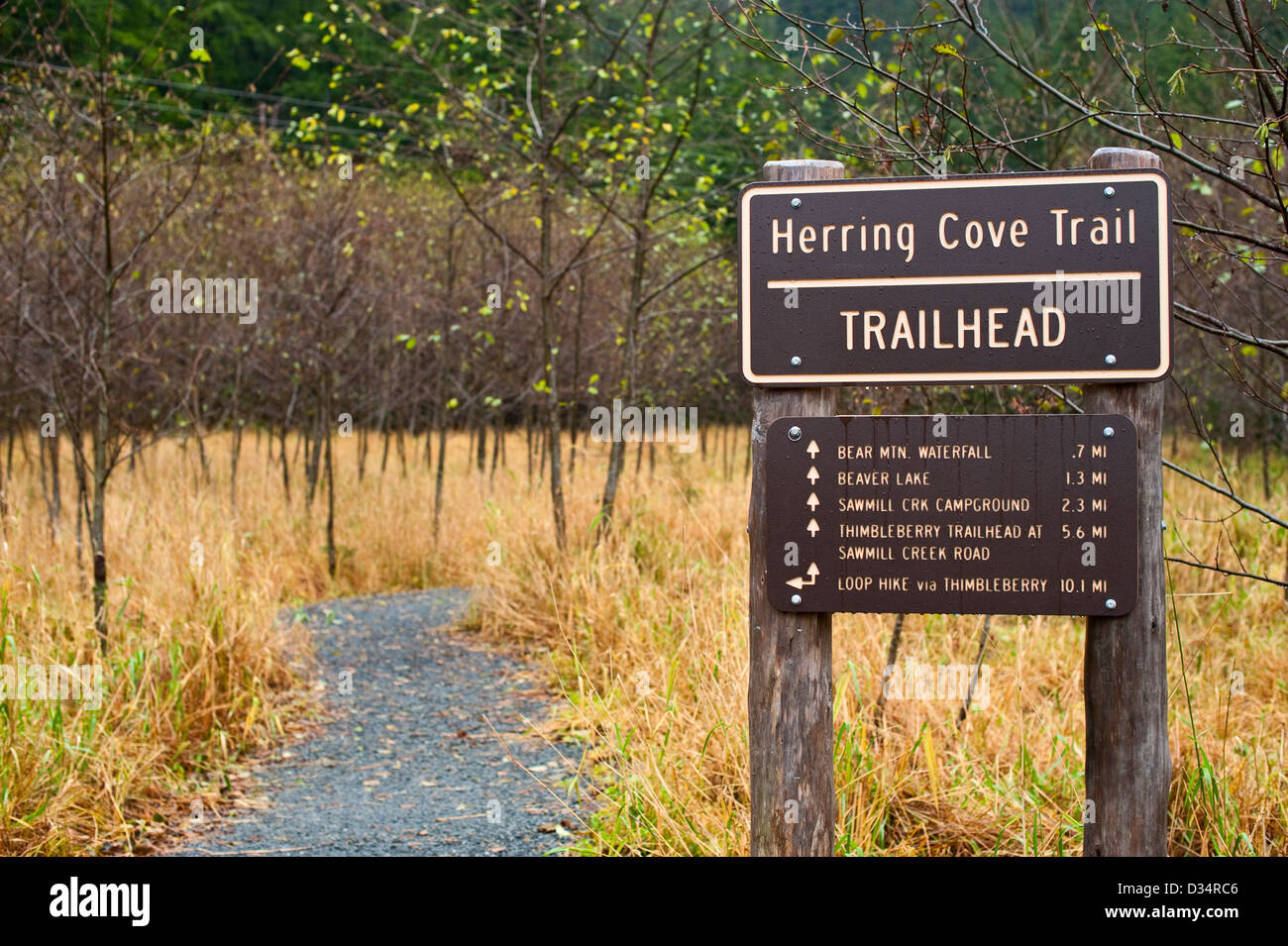 Herring Cove Trail head, Tongass National Forest, Sitka, Alaska, USA