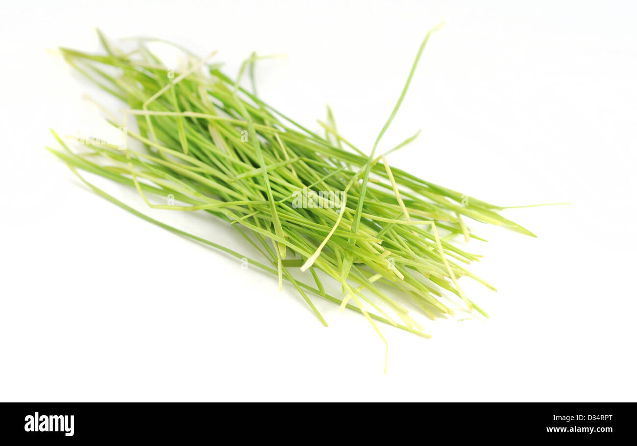 raw lifestyle with wheatgrass Stock Photo