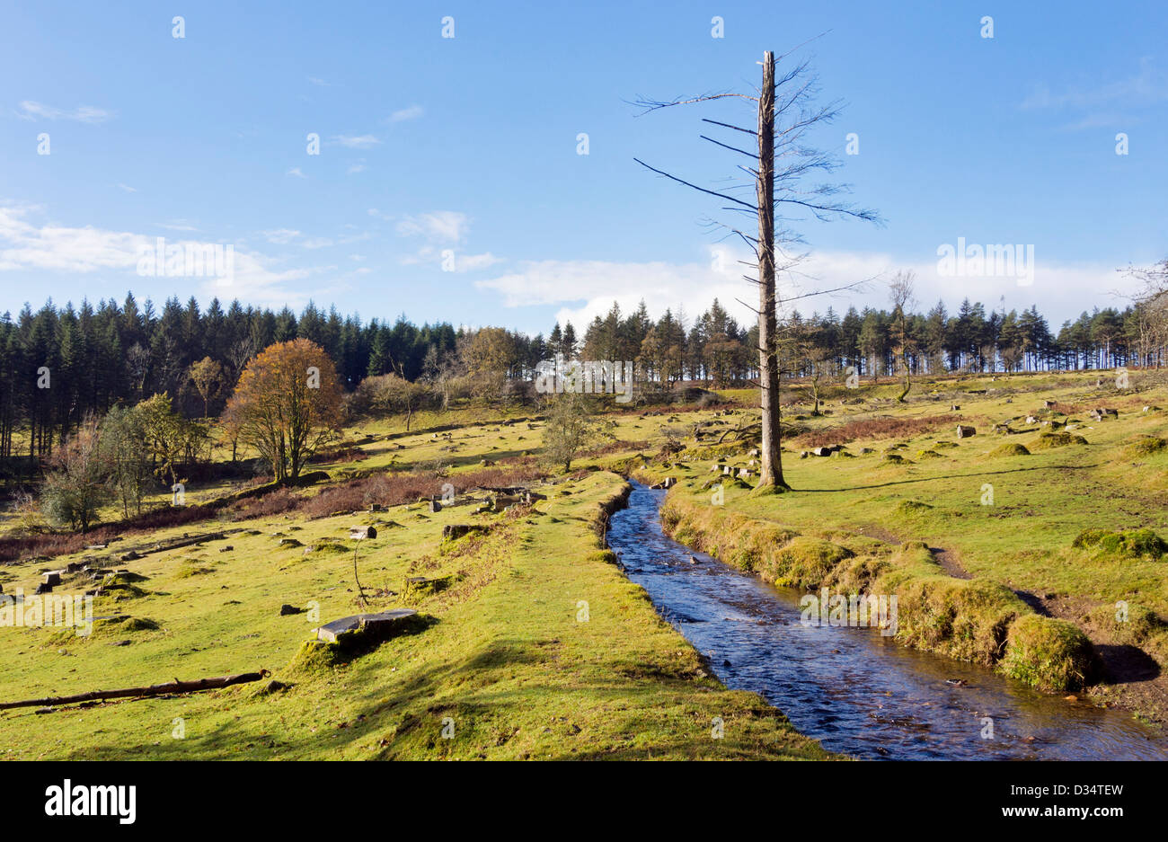 Devonport leat cutting through open area near Burrator Reservoir, Dartmoor, Devon UK Stock Photo