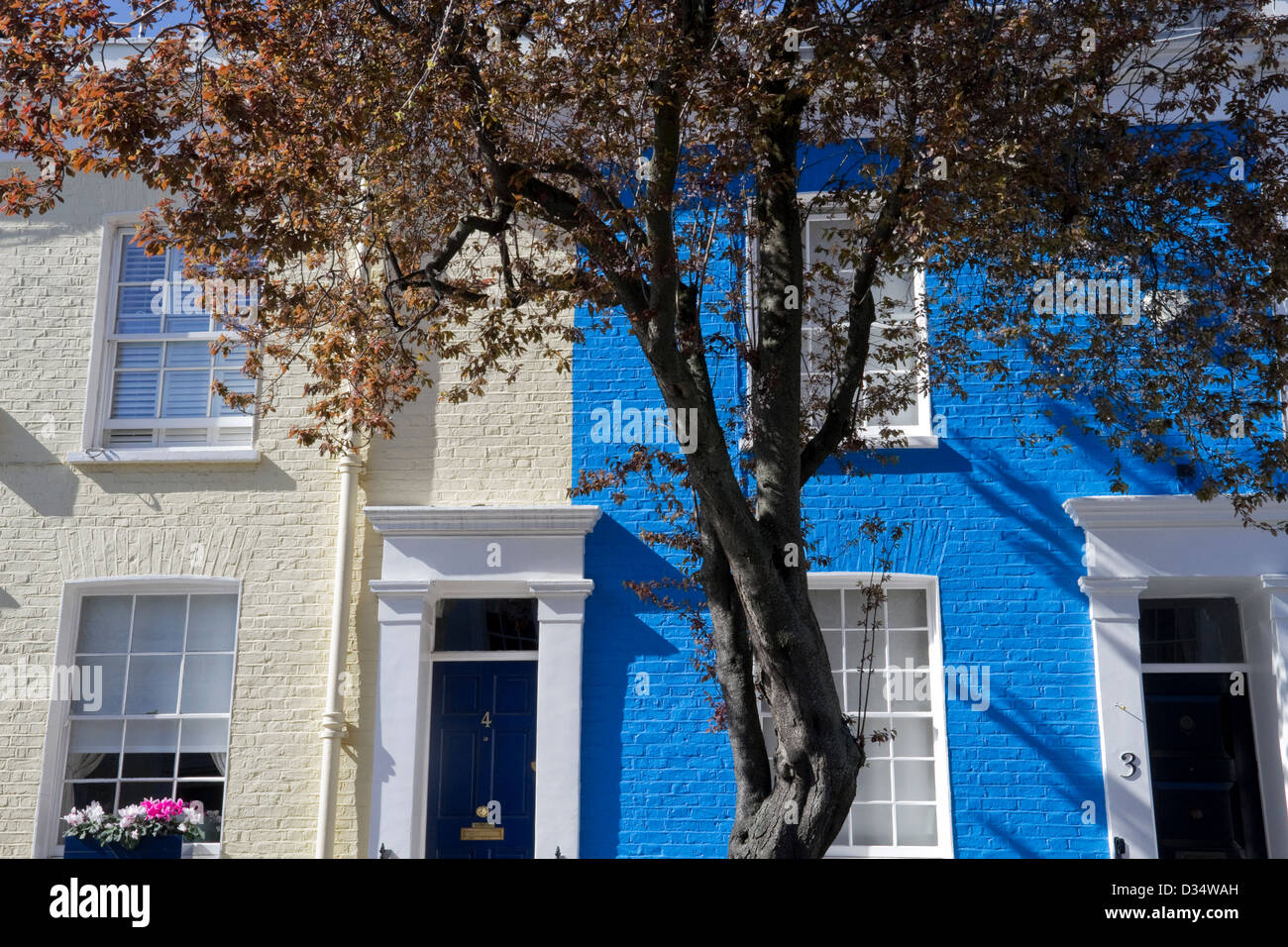 Brightly painted houses in the Royal Borough of Chelsea and Kensington