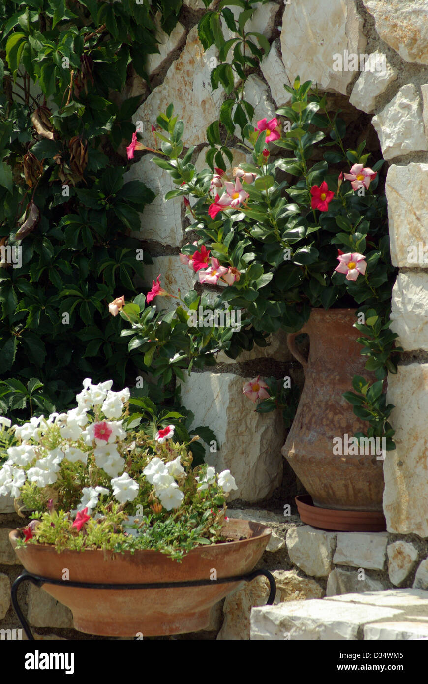 Pretty flowers on a stone wall Stock Photo Alamy