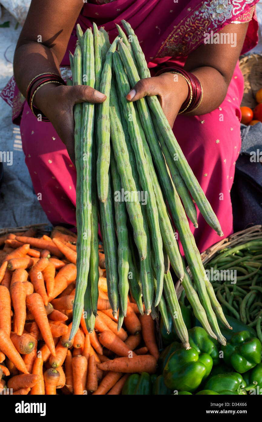 Indian market trader holding Indian drumstick tree / Horseradish tree
