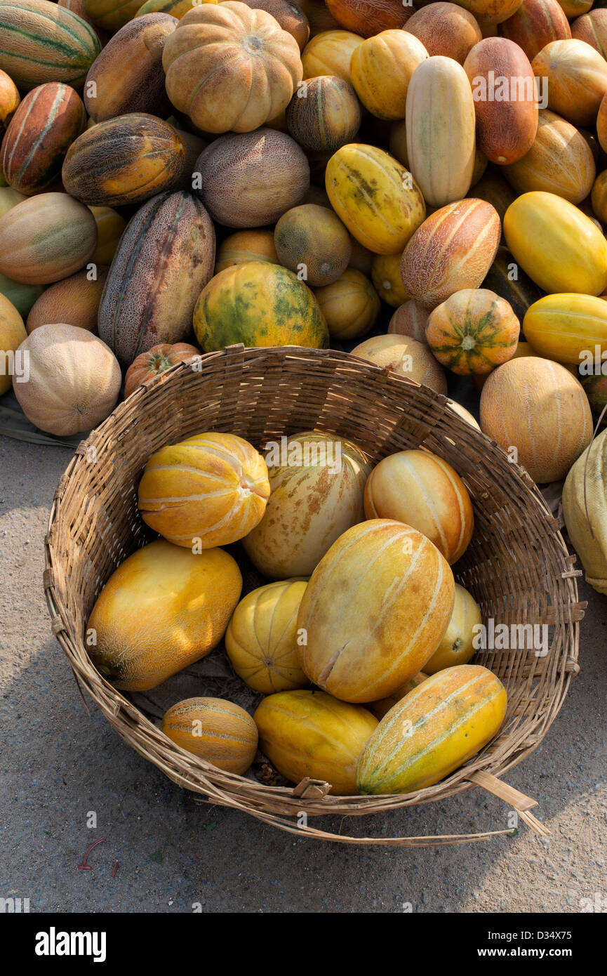 Indian melons at a street market. Andhra Pradesh, India Stock Photo