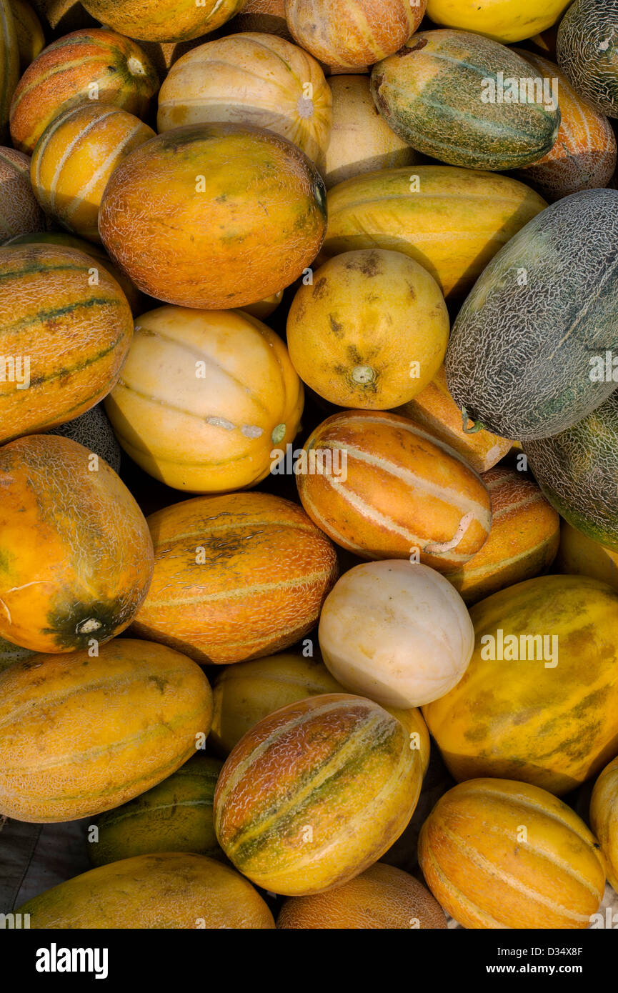 Indian melons at a street market. Andhra Pradesh, India Stock Photo Alamy