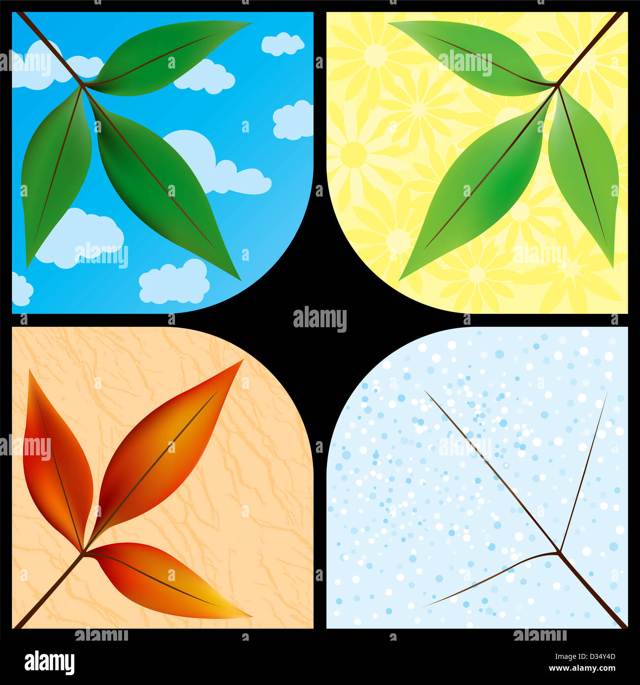 Leaves through the seasons Stock Photo - Alamy