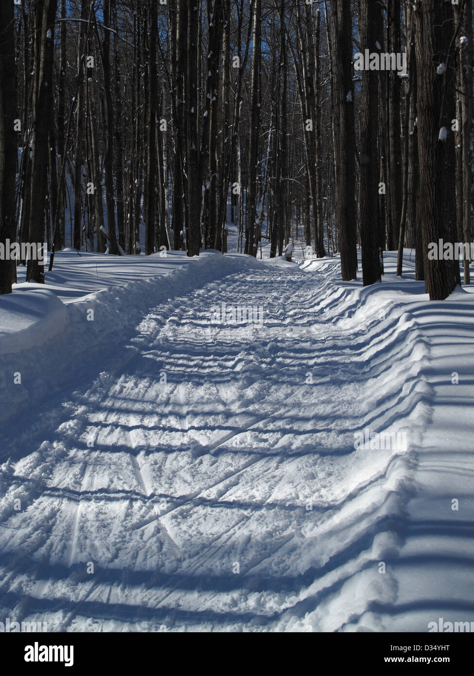 Ottawa Gatineau Winter Stock Photos Ottawa Gatineau Winter Stock