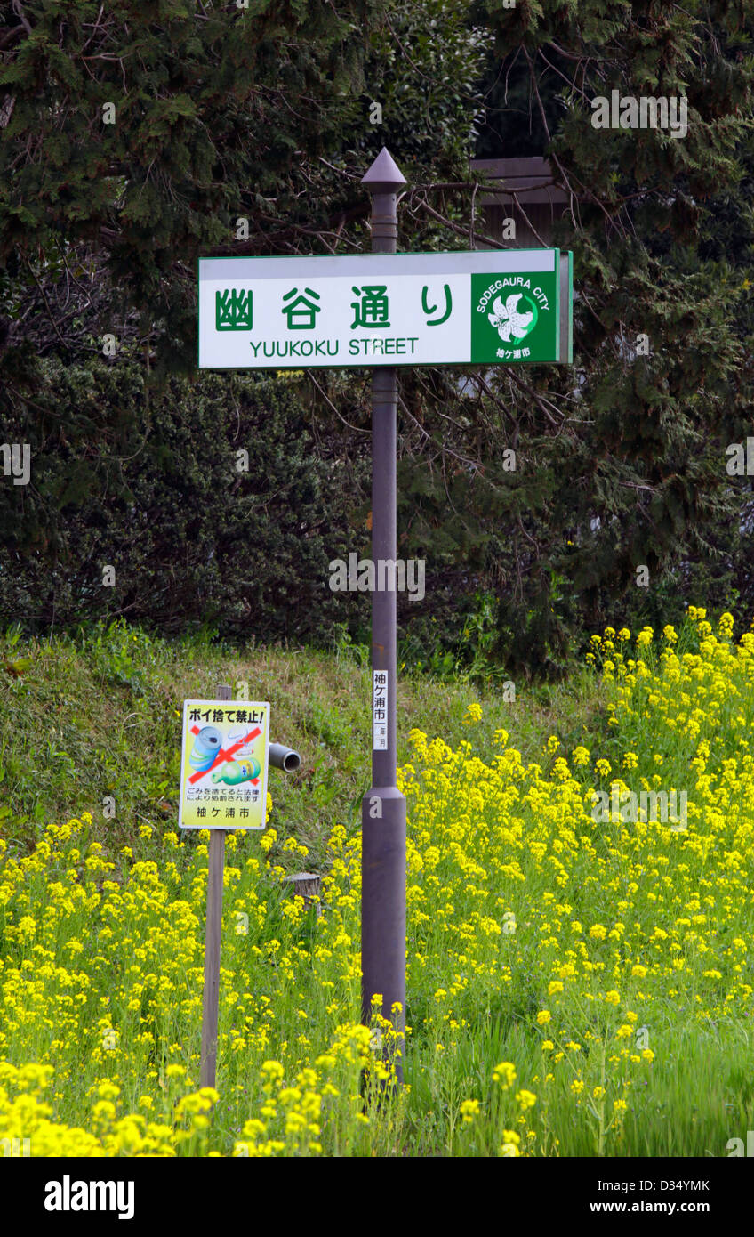 No litter sign and street name sign in a rape flower field Chiba Japan
