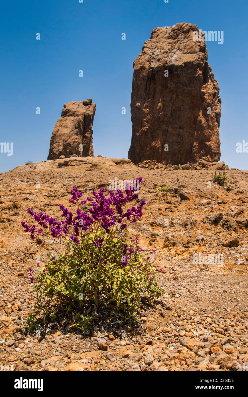 Spain. Canary Islands. Gran Canaria. Roque Nublo Stock Photo