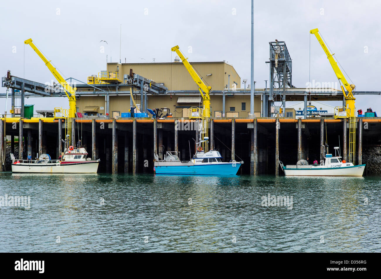 Commercial fishing boats unload their fresh catch of fish to a