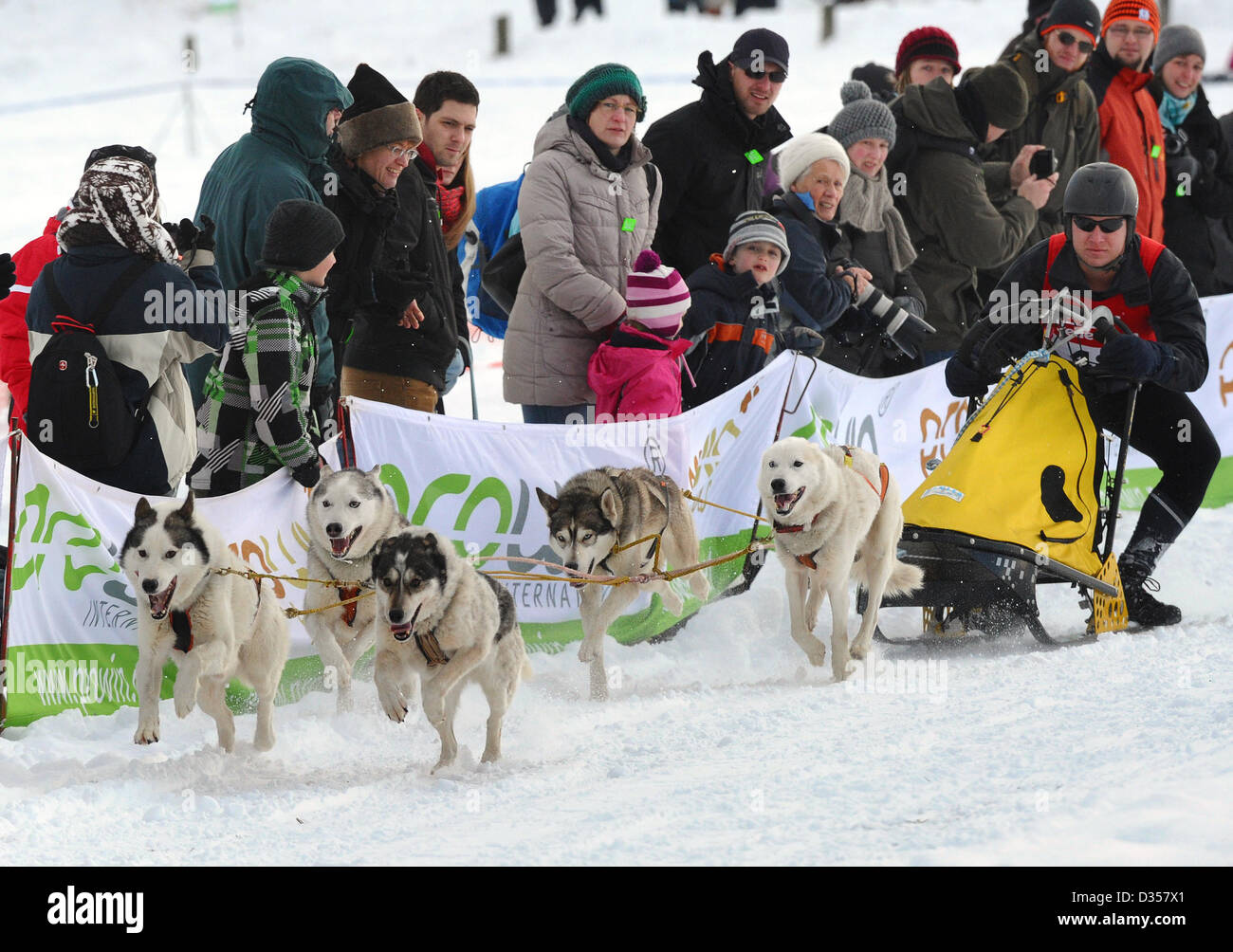 A sled dog team and its musher in action at the sled dog race in ...