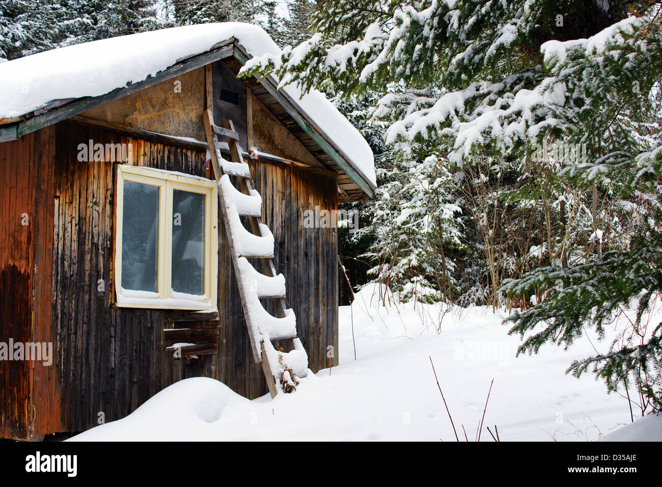 https://c8.alamy.com/comp/D35AJE/old-wood-cabin-with-ladder-covered-by-the-thick-snow-on-a-cold-winter-D35AJE.jpg