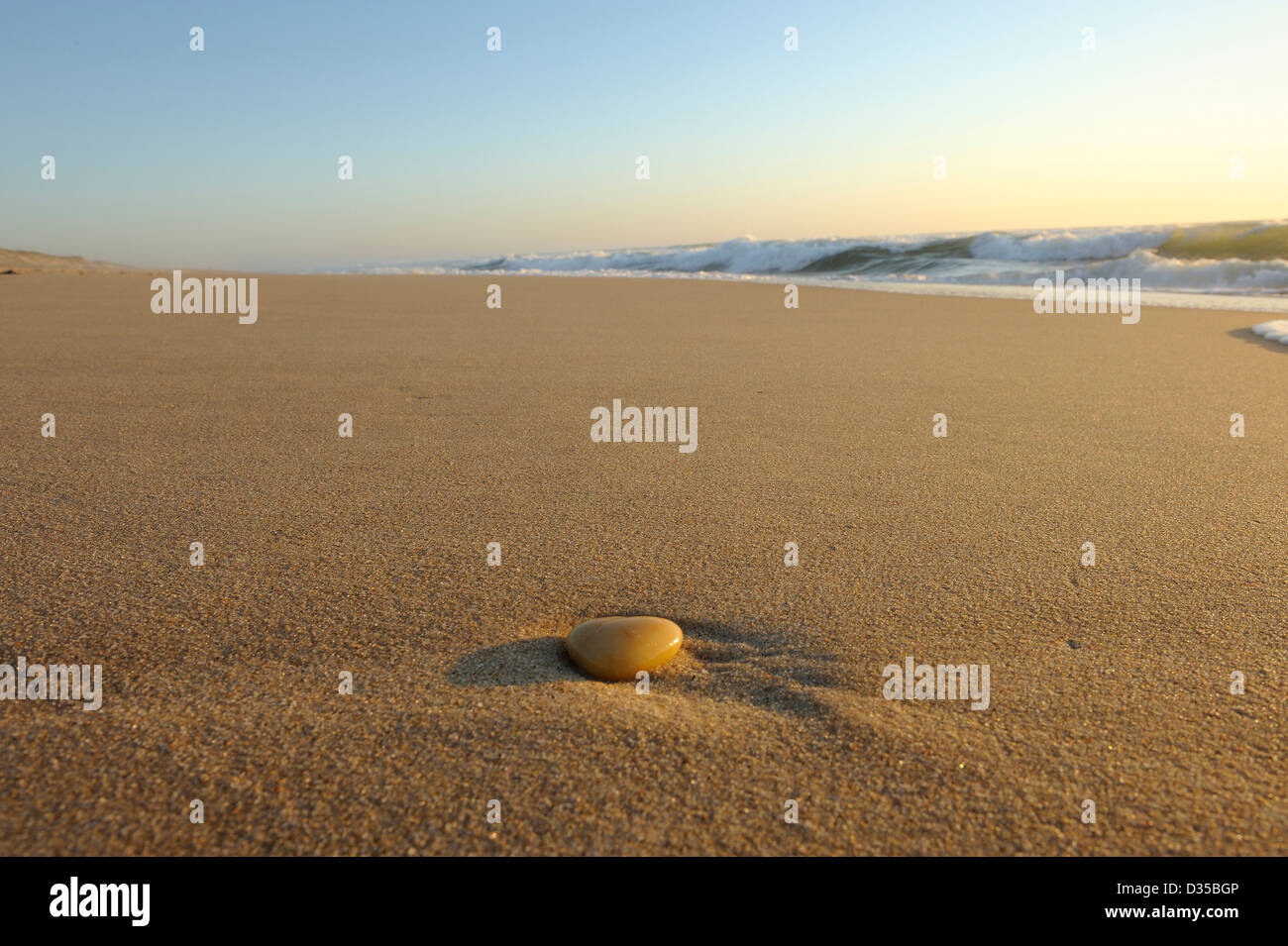 single pebble on sandy beach on Atlantic coast, Gironde, France Stock Photo