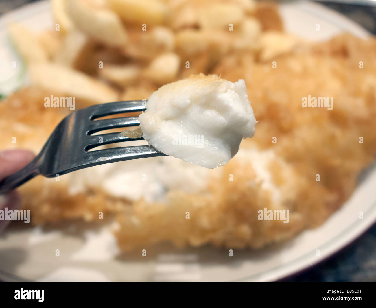 First succulent mouthful of fried battered Haddock fish and chips Stock