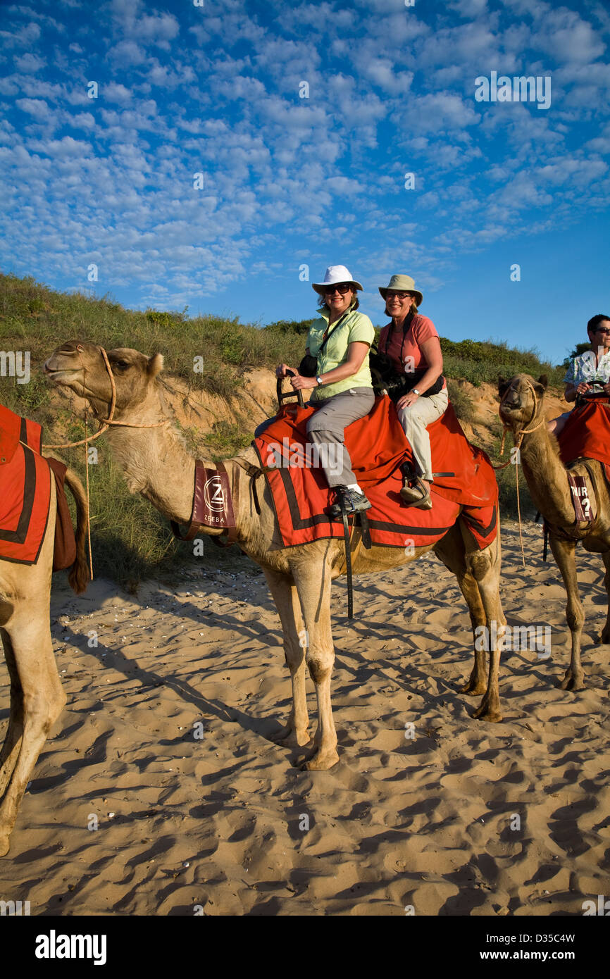Camel tour australia hi-res stock photography and images - Alamy