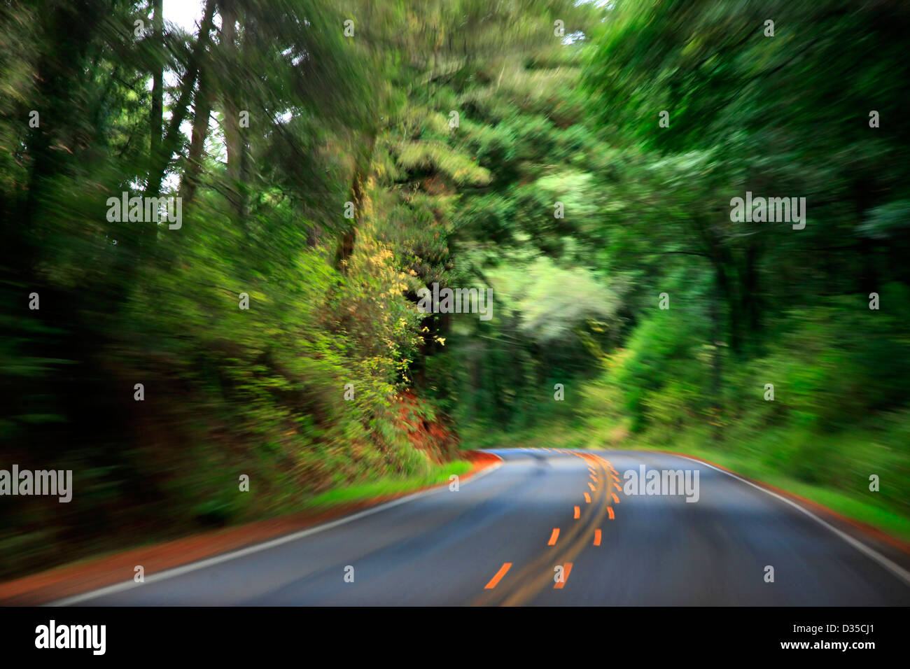 high-speed-driving-car-driving-fast-into-forest-stock-photo-alamy