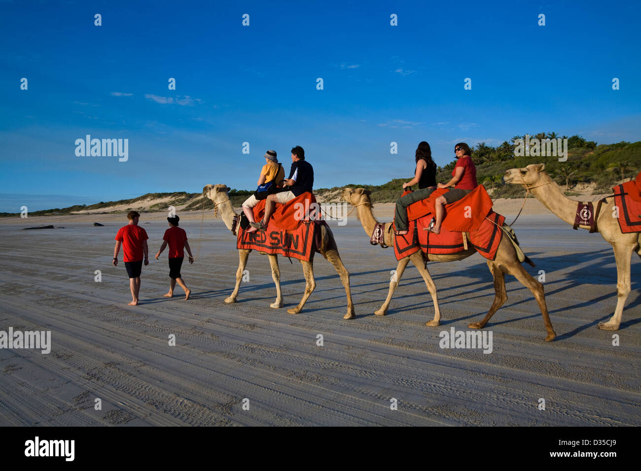 A camel ride on Cable Beach -- at either sunrise or sunset -- is a ...