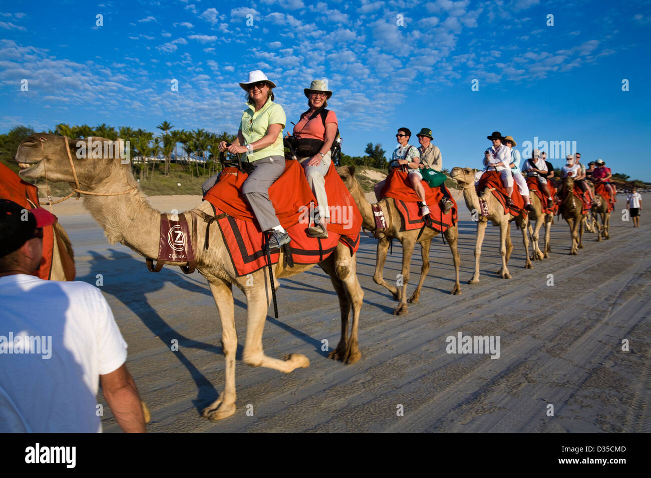 A camel ride on Cable Beach -- at either sunrise or sunset -- is a visitor tradition in Broome, Western Australia. Stock Photo
