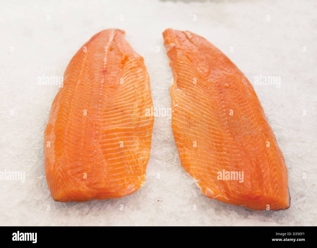 Salmon sliced in ice Stock Photo - Alamy