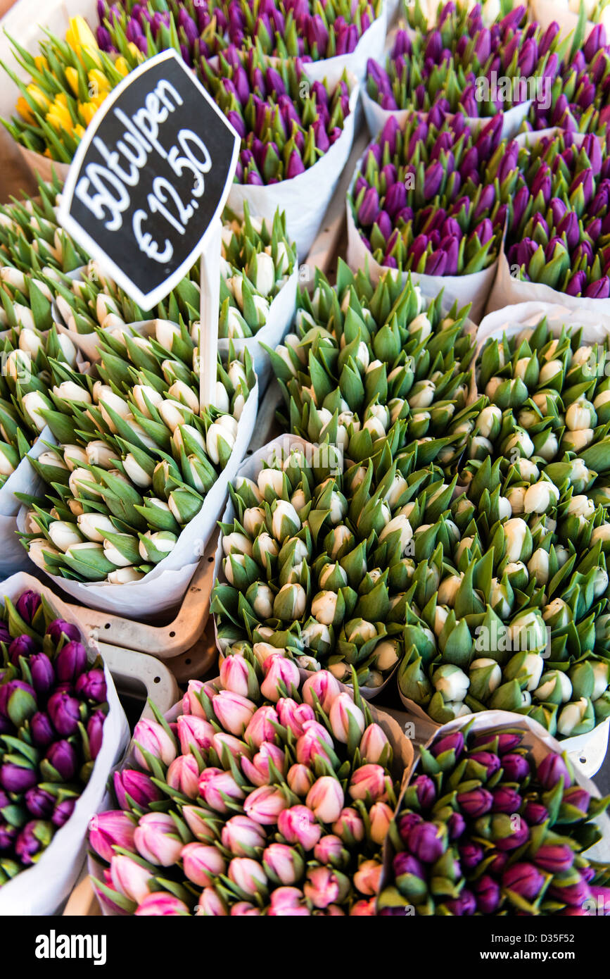 Flower market Amsterdam Holland Stock Photo Alamy
