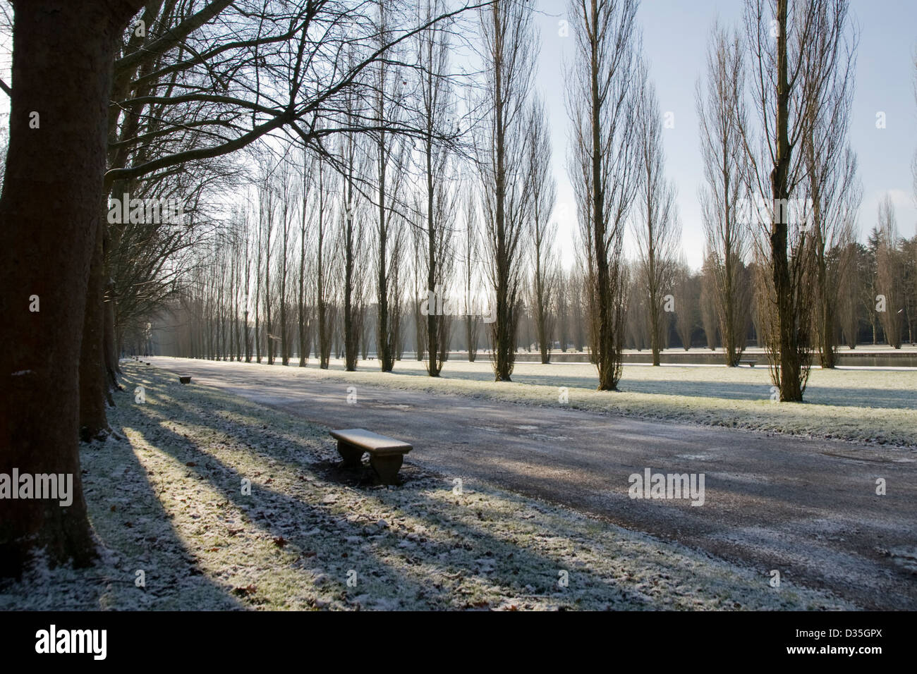 a path of poplars in the park of Sceaux covered with snow in contrejour Stock Photo