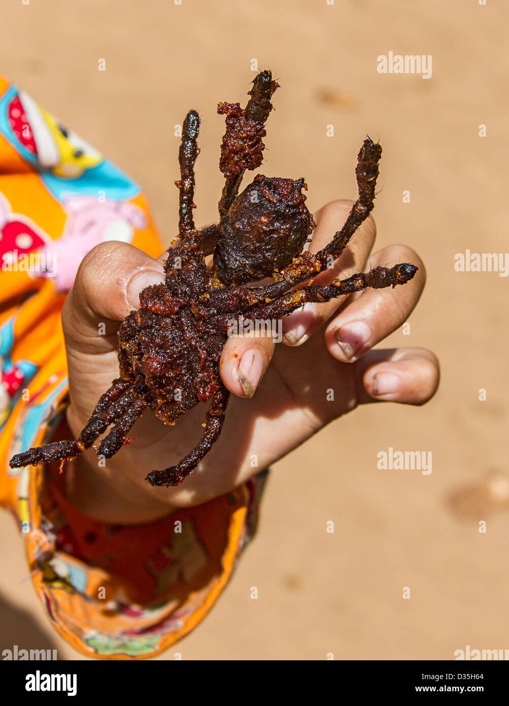 Breaded and deep fried tarantula for sale at Skuon, Cambodia, known