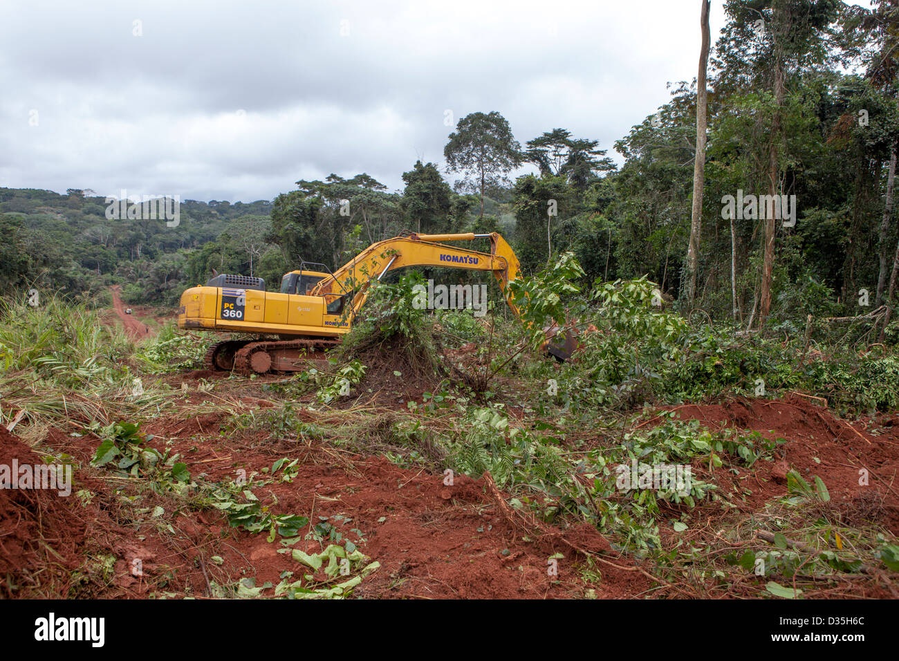 CONGO, 27th Sept 2012: A Chinese bulldozer driver from company Sinohydro cuts a path through the forest for a major new tarmac road. Stock Photo