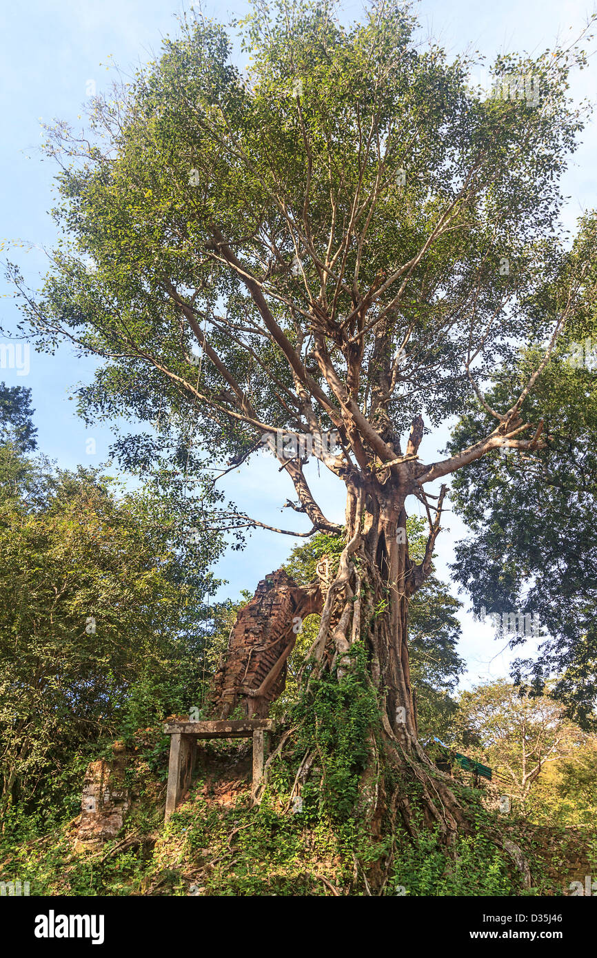 Angkor tree roots hi-res stock photography and images - Alamy