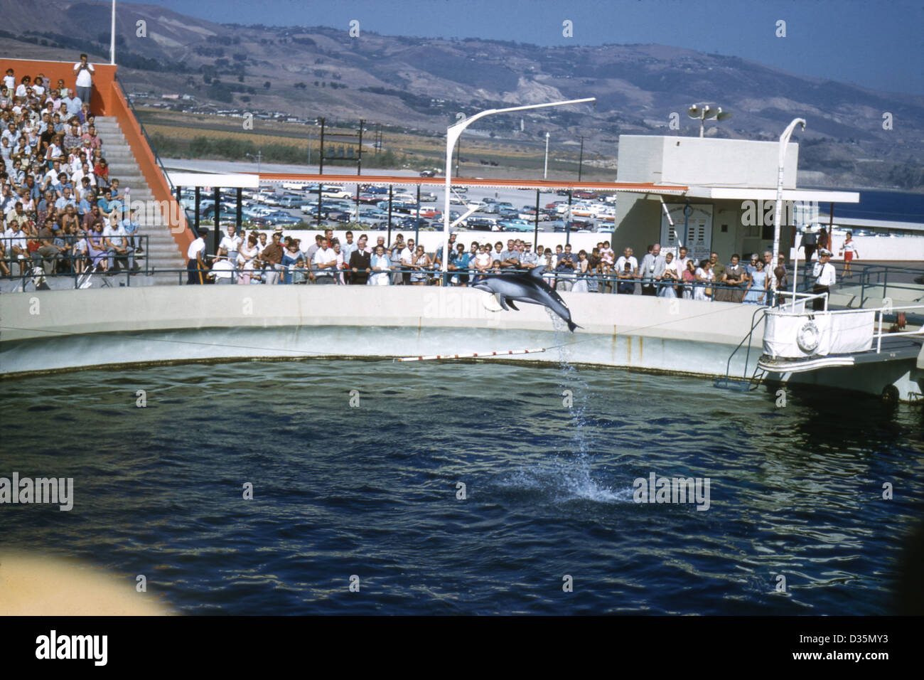 Vintage September 1958 photograph, a white-sided dolphin jumping at Marineland of the Pacific in Rancho Palos Verdes, California Stock Photo