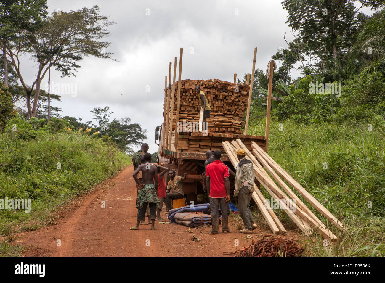 CONGO, 27th Sept 2012: A patrol of eco-guards investigate illegal logging of high quality timber from the forest. Stock Photo