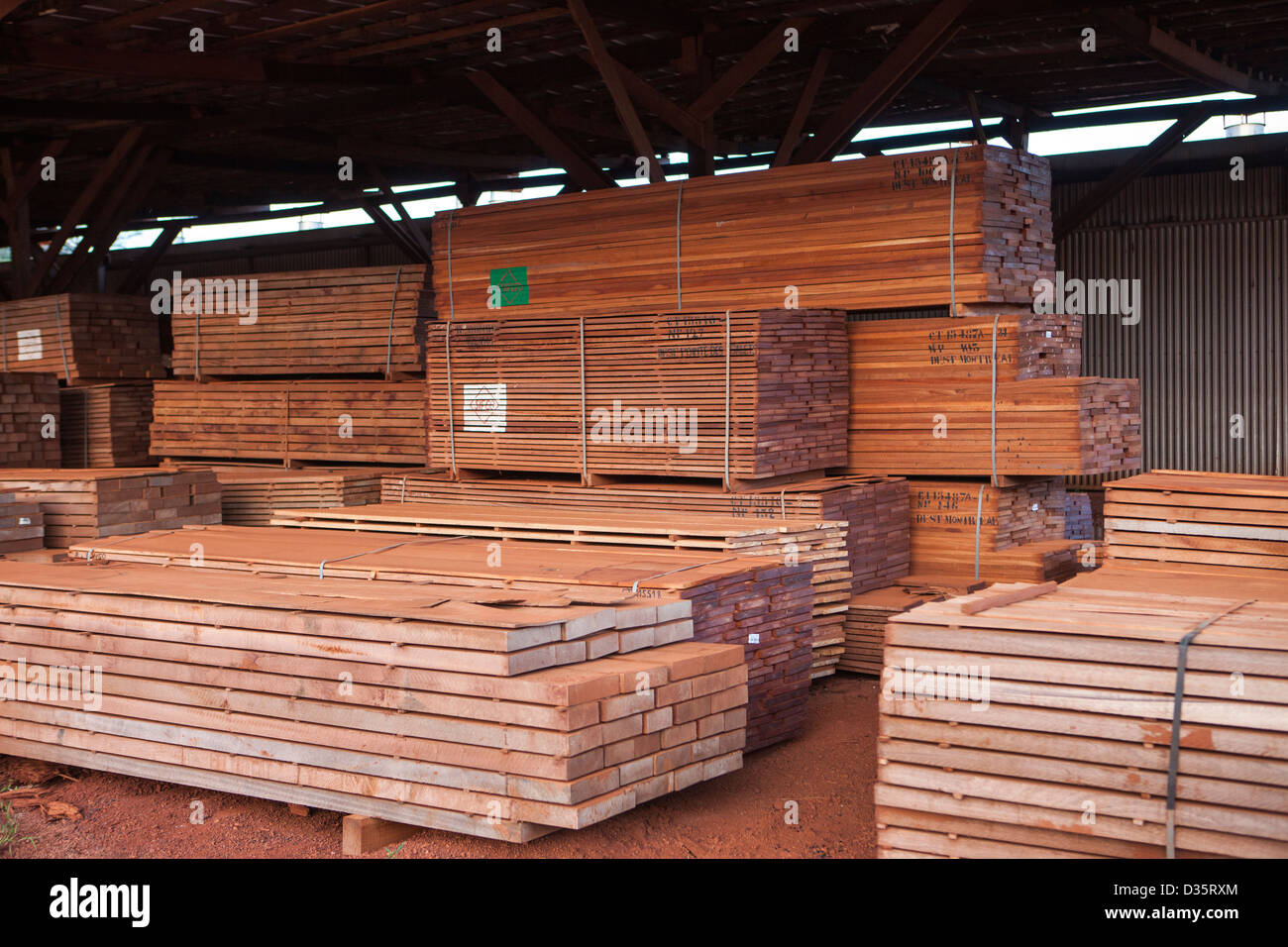 CONGO, 27th Sept 2012: Cut hardwood timber in a logging concession's timber yard awaiting shipment out of the country for export. Stock Photo