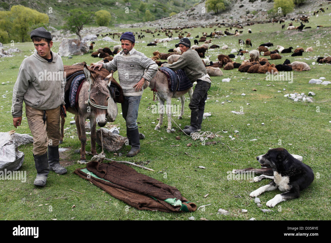 Yaghnobi shepherds during their annual migration to the high-altitude pastures, in Tajikistan Stock Photo