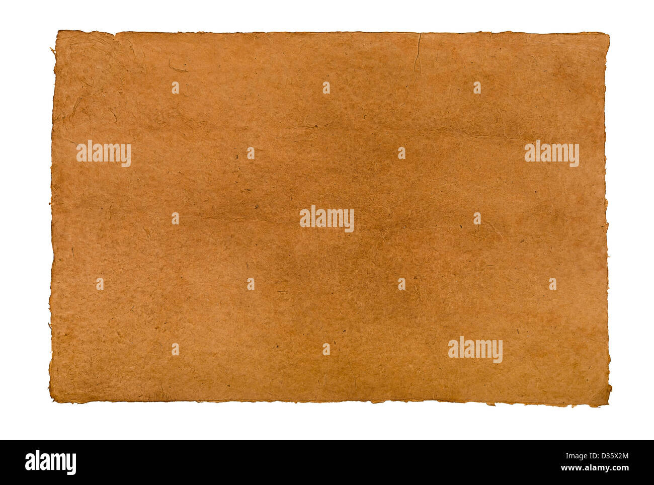 brown daphnepaper with leathery texture Stock Photo