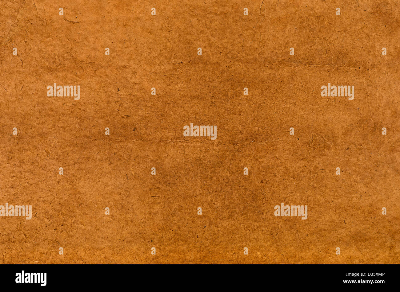 brown daphnepaper with leathery texture Stock Photo